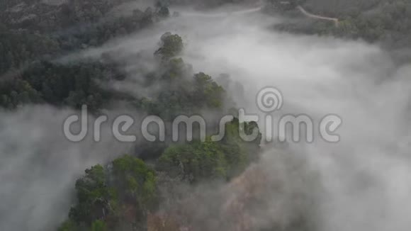 北加利福尼亚雾区和森林区的鸟瞰图视频的预览图