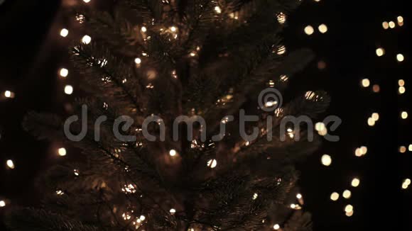 女人在圣诞树上装饰着星星花环背景是闪闪发光的灯光视频的预览图
