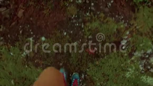 穿着长途跋涉的靴子在草地和苔藓上行走视频的预览图