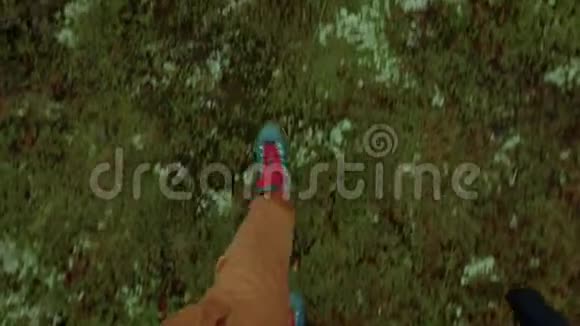 穿着长途跋涉的靴子在草地和苔藓上行走视频的预览图