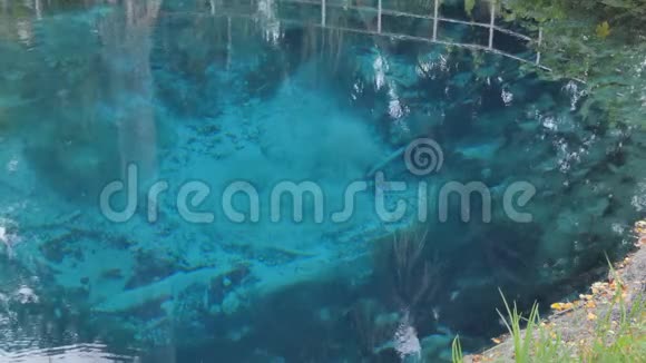 大自然池塘里的蓝水视频的预览图
