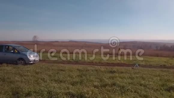 空中观景金发女人在一条秋天的乡村道路上靠近破车4K视频的预览图