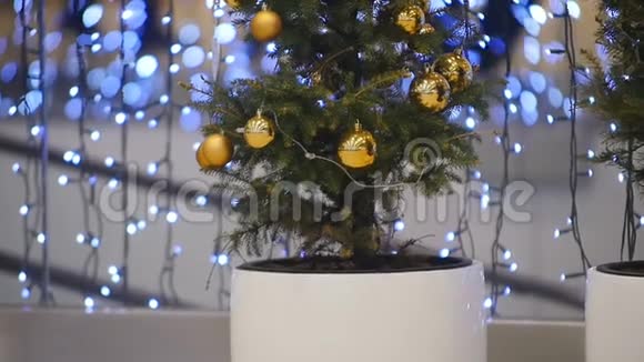 镜头显示X树装饰金球和哈特视频的预览图