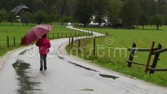 小女孩在乡间小路上雨中散步视频的预览图
