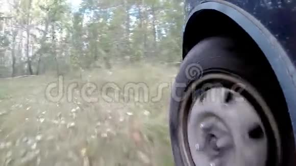 汽车停在树林里视频的预览图
