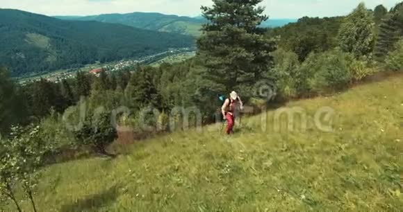 一个拿着登山杖的人走上山视频的预览图