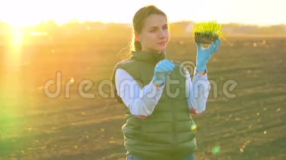 女农民在把树苗种在土壤里之前先检查一下样本视频的预览图