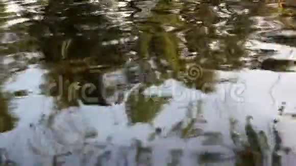 自然波浪和倒影的河景视频的预览图
