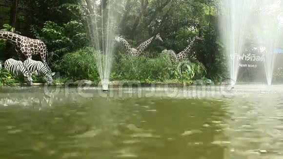 动物园里的喷泉视频的预览图