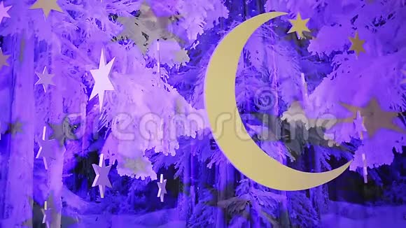 美妙的冬季夜空装饰月亮和星星摇篮曲背景视频的预览图