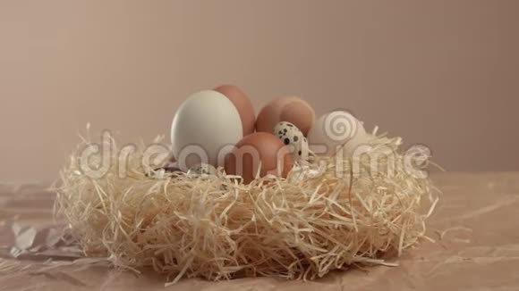 放大巢与不同的鸡蛋复活节彩蛋视频的预览图
