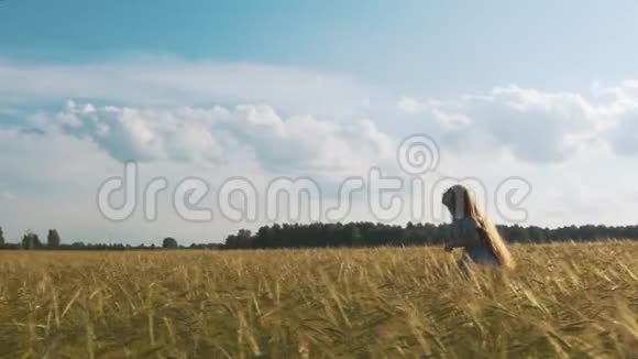 美丽的女孩在阳光明媚的麦田里奔跑慢动作120fps太阳透镜耀斑自由概念快乐的女人视频的预览图