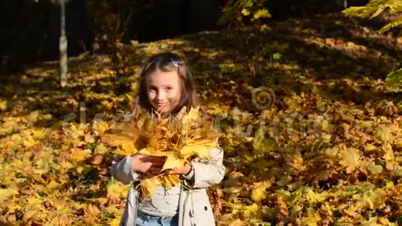 秋天公园里小可爱的女孩把落叶的黄色的枫叶扔了出去视频的预览图