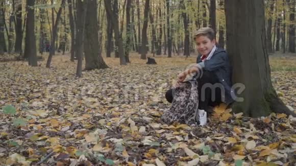 男孩在秋天的森林里对着镜头微笑视频的预览图