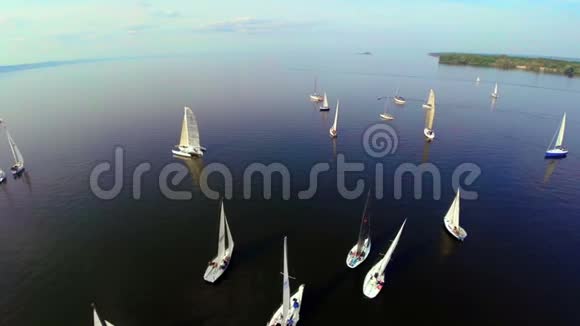 平静的大海许多帆船漂浮在水面上雷加特视频的预览图