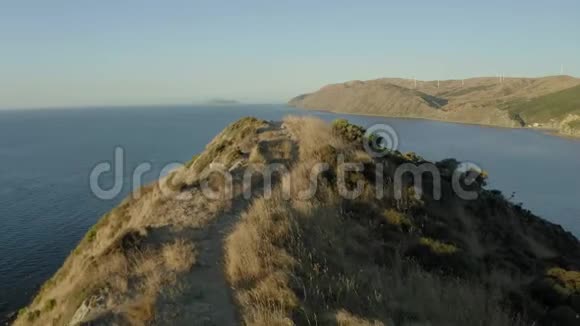 新西兰4k海岸线上美丽的徒步旅行小径视频的预览图