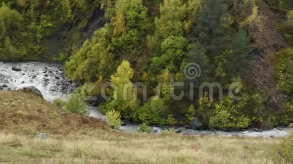 乌什巴山山坡上的一片巨大的森林靠近古里关格鲁吉亚的斯旺蒂地区欧洲高加索高清高清视频的预览图