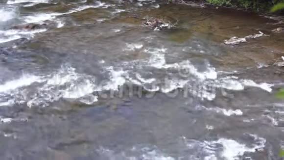 山急河溪浅山河与石急流视频的预览图