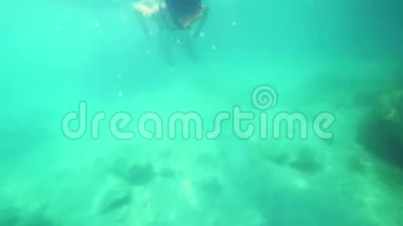 戴着水下面具的女孩在水下游泳看着水下世界和热带小鱼视频的预览图