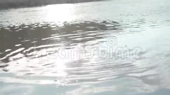 很好的水库存夏日湖面上平静的水视频的预览图