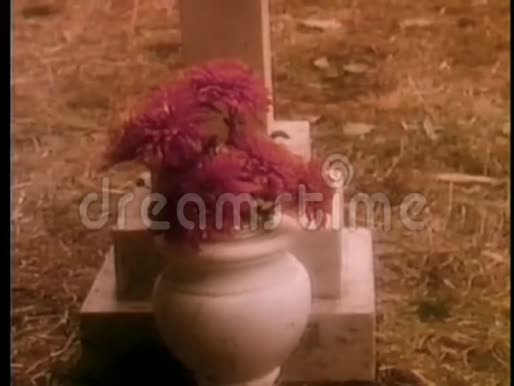 站在墓地的人视频的预览图