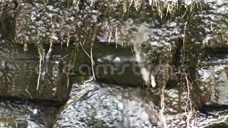 温暖的池塘水滴在岩石上视频的预览图