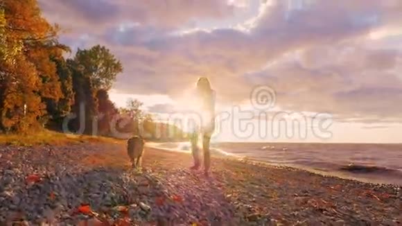 日落时分安大略省湖岸上带着一只狗散步的年轻女子视频的预览图