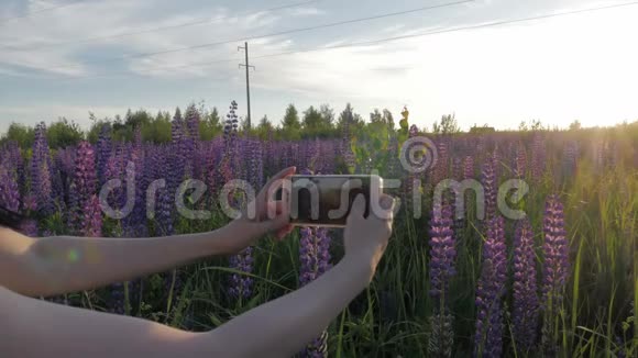 女孩从手机里拍了一张花的照片卢平视频的预览图