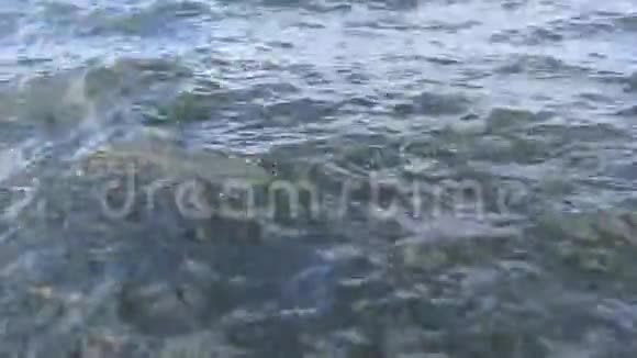 河流或海洋表面强烈波浪的背景13s视频的预览图