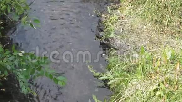 美丽清澈的水流在河岸边干的皱巴巴的草顶12s视频的预览图