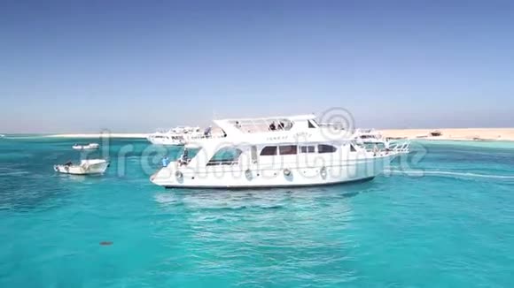 埃及红海天堂岛附近的游船视频的预览图