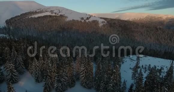 空中拍摄带针叶林的山上日落冬季景观4k视频视频的预览图