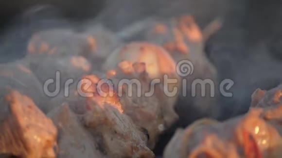 男人用串做肉男人的手把烤肉放在曼格尔身上烹饪野餐食物控制烤架上的食物准备烧烤视频的预览图