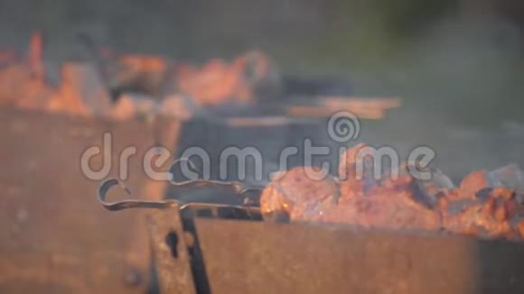 男人用串做肉男人的手把烤肉放在曼格尔身上烹饪野餐食物控制烤架上的食物准备烧烤视频的预览图