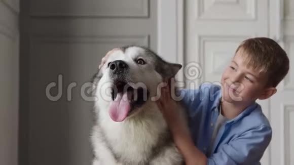可爱的家犬和可爱的孩子或爱宠物动物的友谊视频的预览图