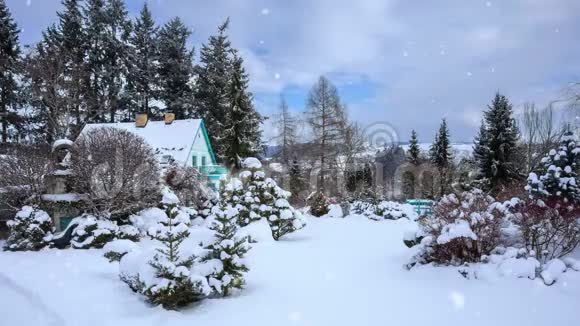 冬季花园无缝环形背景与雪花视频的预览图