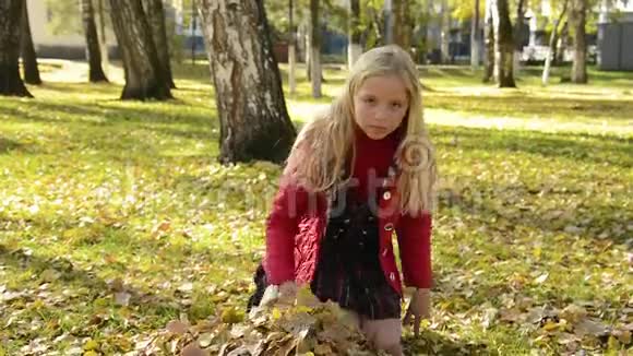 美丽的小女孩扔了落叶开心地笑了有趣的时刻视频的预览图