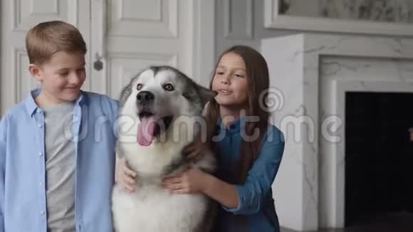 可爱的家庭狗和可爱的孩子的友谊或爱宠物动物视频的预览图