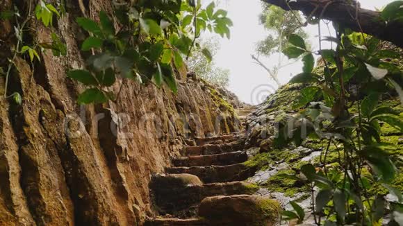 游客爬楼梯进入岩石美丽的大自然靠近大象瀑布的越南丛林视频的预览图