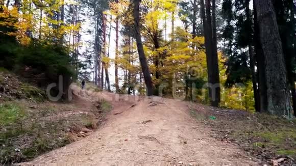 小男孩在通往树林的小路上奔跑视频的预览图