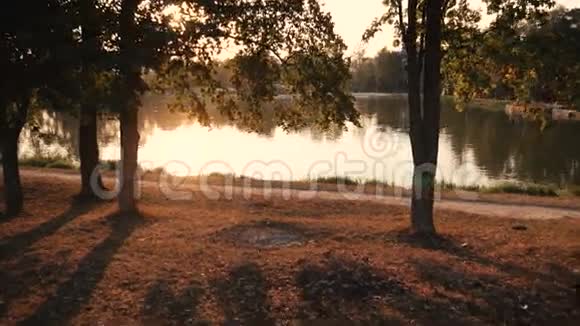 人骑自行车在湖边跳视频的预览图
