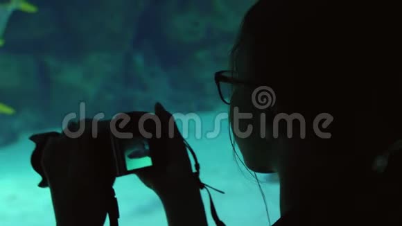女孩拍摄丰富多彩的水下世界股票录像视频的预览图