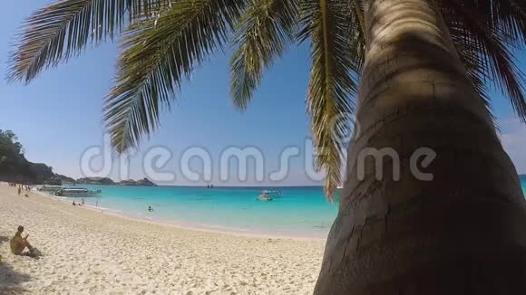 快乐的年轻人在海滩上跑向大海从棕榈树拍摄的GoPro慢镜头热带有趣的旅游拍摄视频的预览图