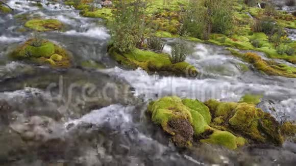 山间小溪的石头上长满了绿色的苔藓清澈纯净的水流在苔藓间流动4公里视频的预览图