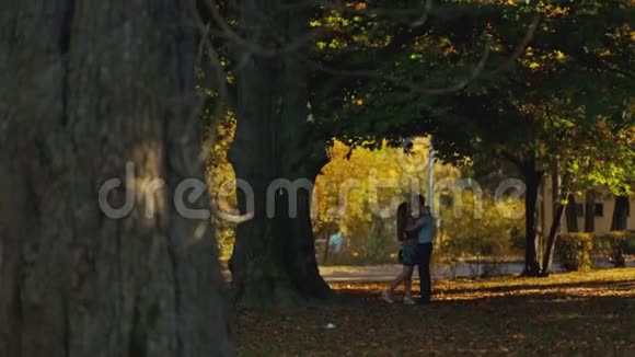 在秋天的城市公园里一对年轻夫妇拥抱和亲吻对方的遥远景色几个进球浪漫浪漫视频的预览图