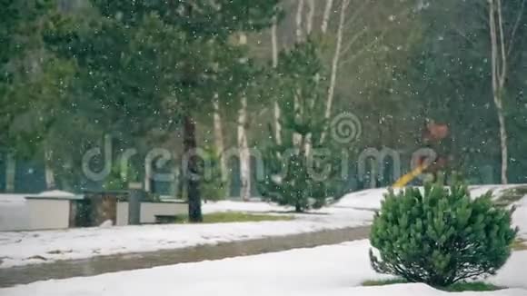 冬天大雪纷飞大雪纷飞视频的预览图