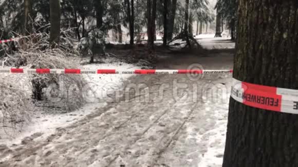 冬天森林里的一个犯罪现场前有很多降雪的消防队路障视频的预览图