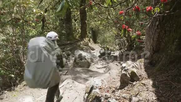 在尼泊尔山间神秘森林中行走的女孩视频的预览图
