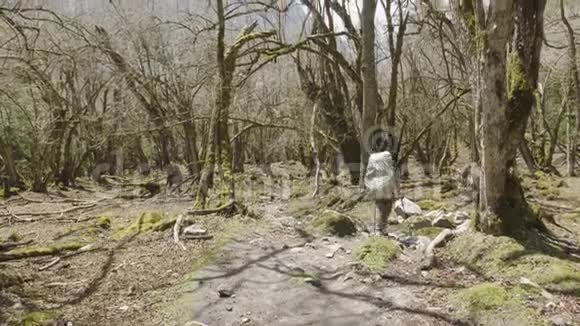 在尼泊尔山间神秘森林中行走的女孩视频的预览图