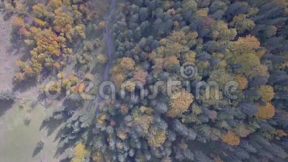 鸟瞰Kryvopillia附近的其他秋天卡帕西亚山脉视频的预览图